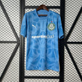 Palmeiras Goalkeeper 2025/26 - Blue Fan Version