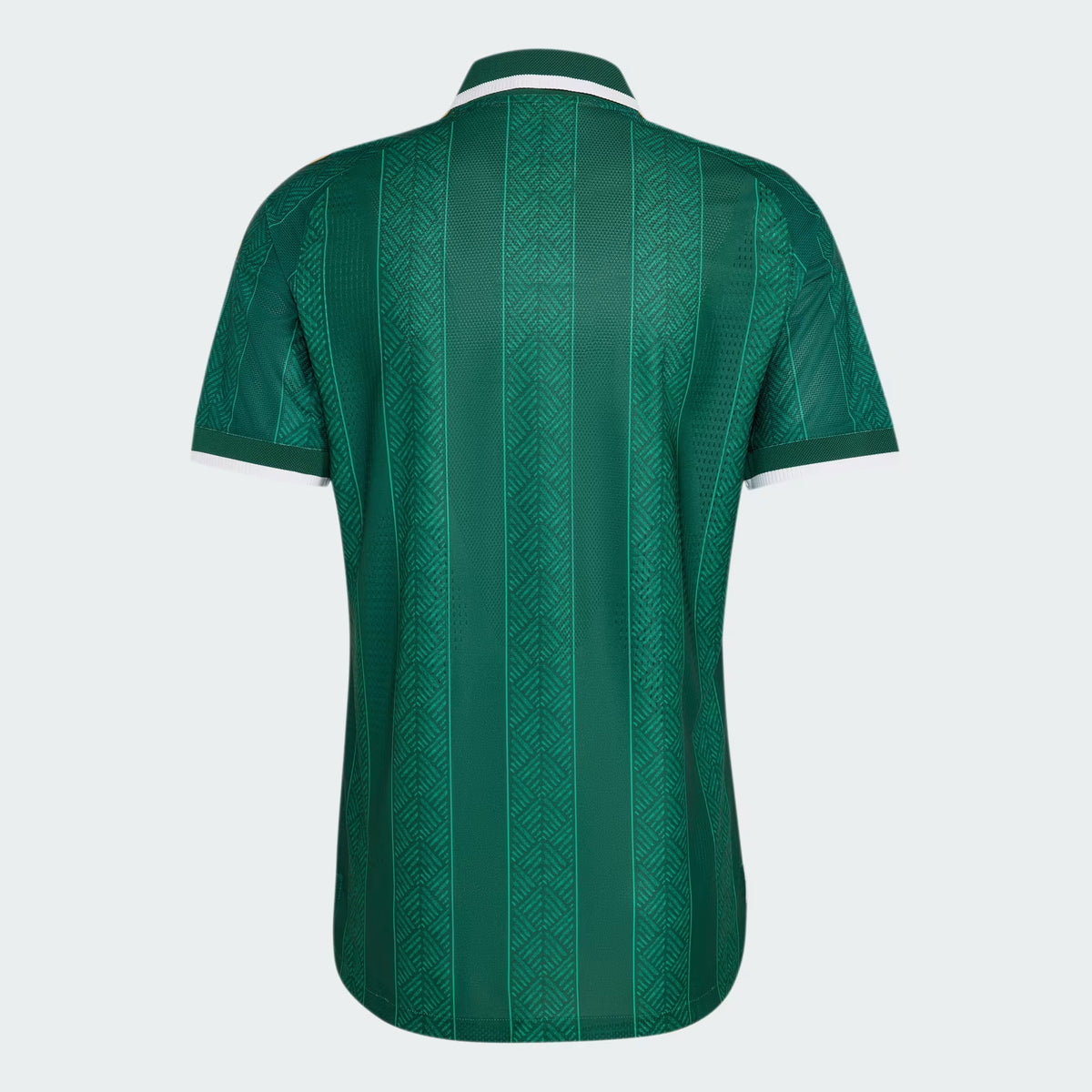 Jersey South Africa 2026 Away World Cup